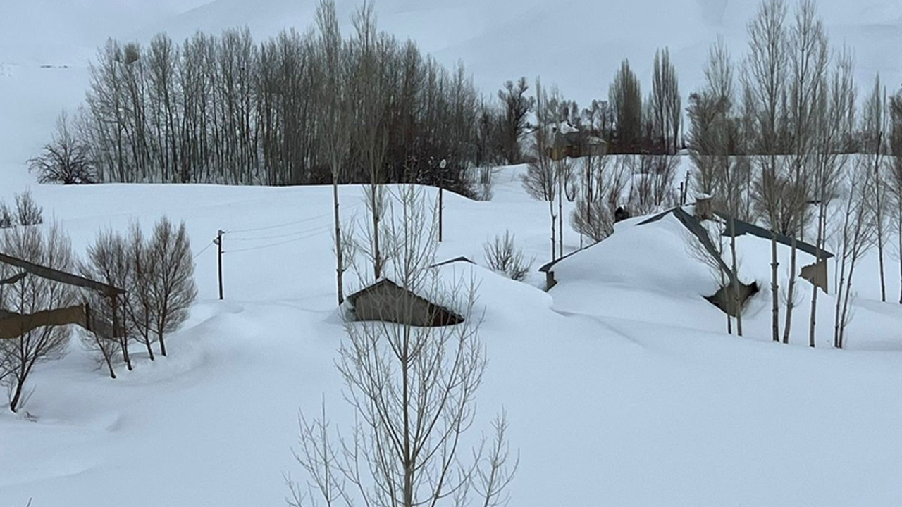 Evler beyaz örtünün altında kayboldu: Köyde hayat durdu