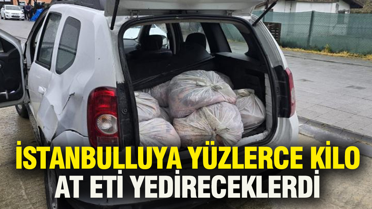 İstanbulluya yüzlerce kilo at eti yedireceklerdi