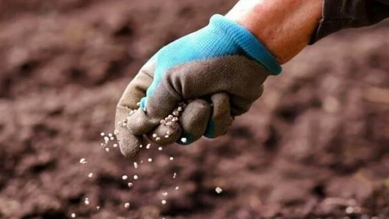 Rusya’dan gübre kararı: İhracat yasağı uzadı