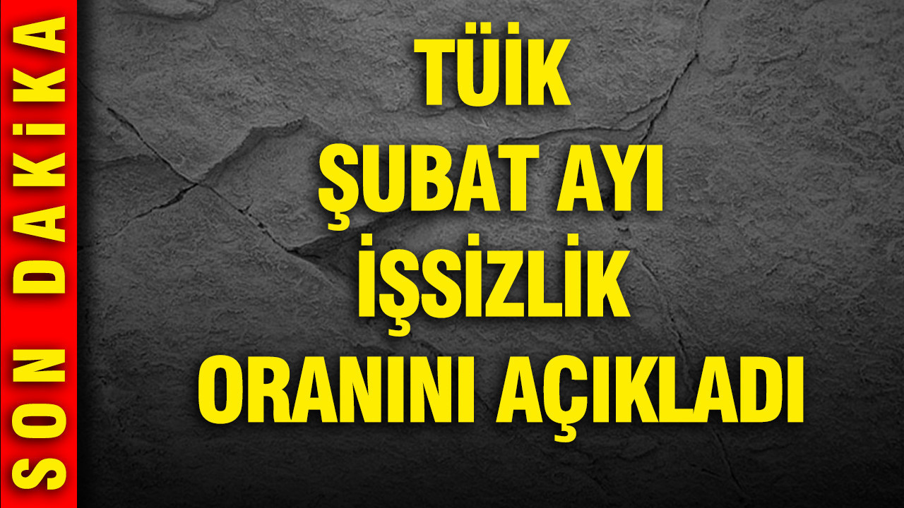 TÜİK açıkladı: İşsizlik oranı şubat ayında arttı