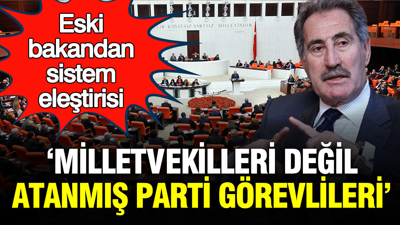 Eski bakandan sistem eleştirisi: Milletvekilleri değil, atanmış parti görevlileri