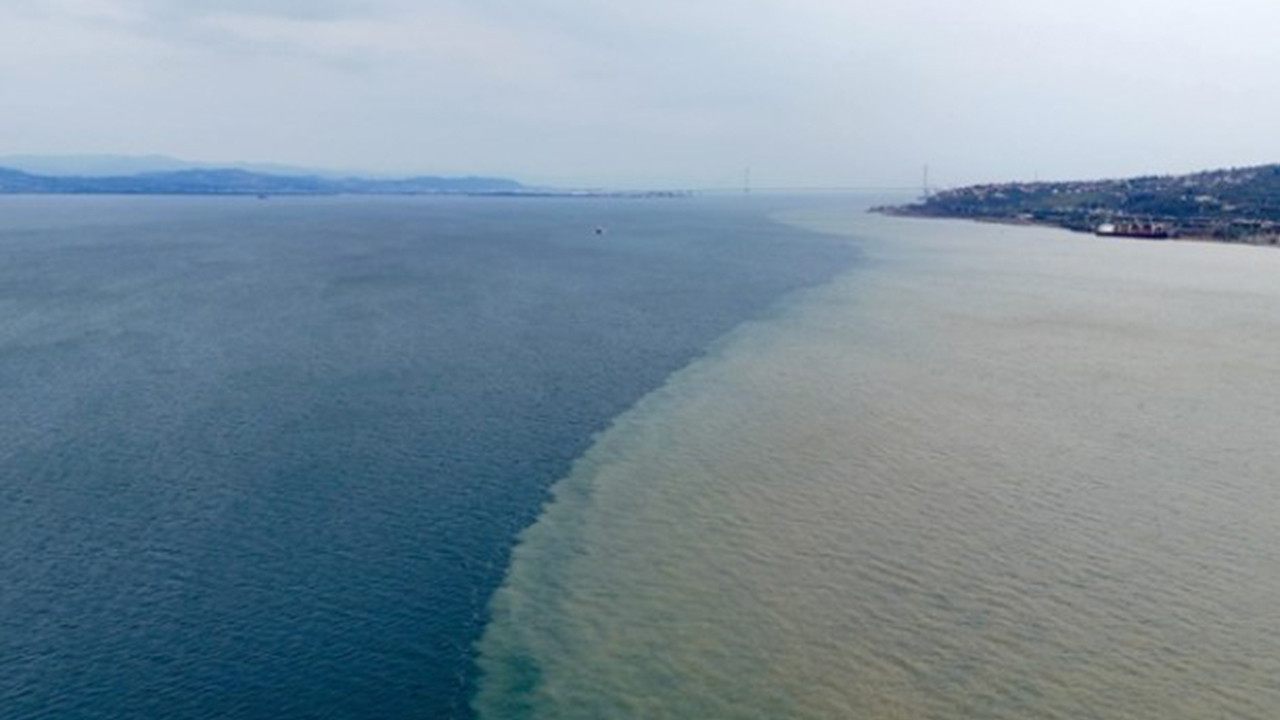 İzmit Körfezi iki renk oldu