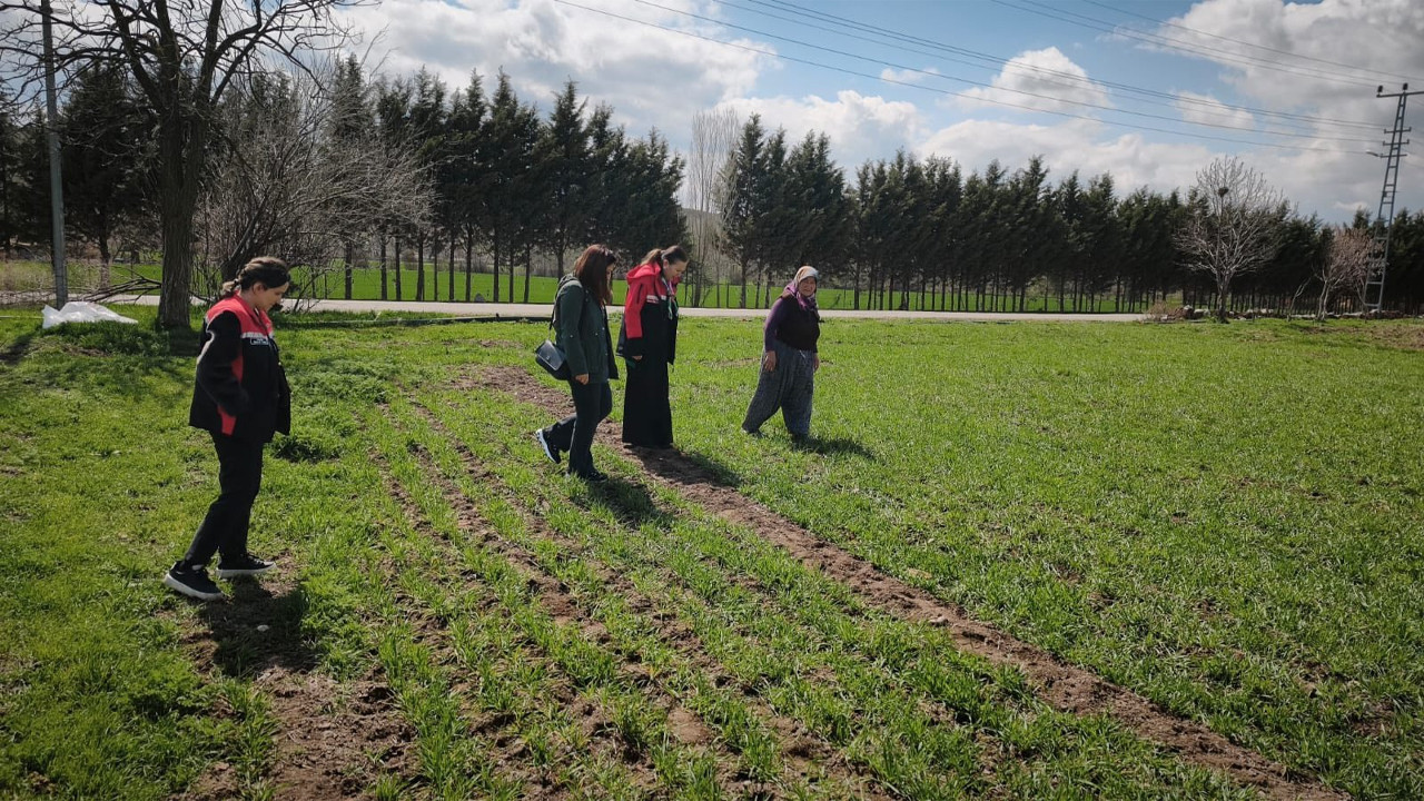 Sahada tarım alarmı