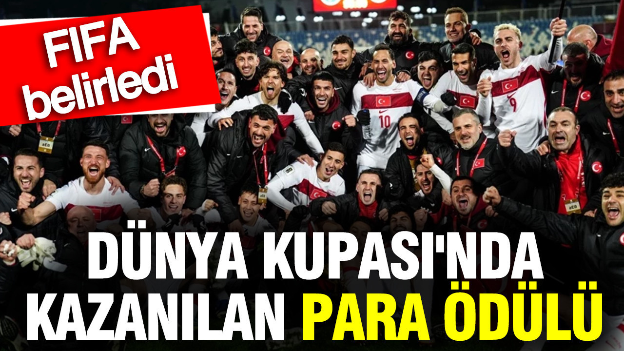 Türkiye'nin Dünya Kupası'nda kazandığı para belli oldu: FIFA kesenin ağzını açtı