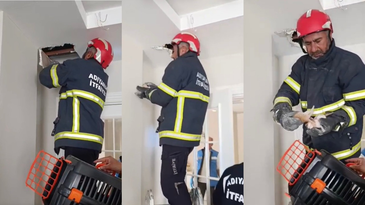 Asma tavanda sıkışan 4 yavru kedi kurtarıldı