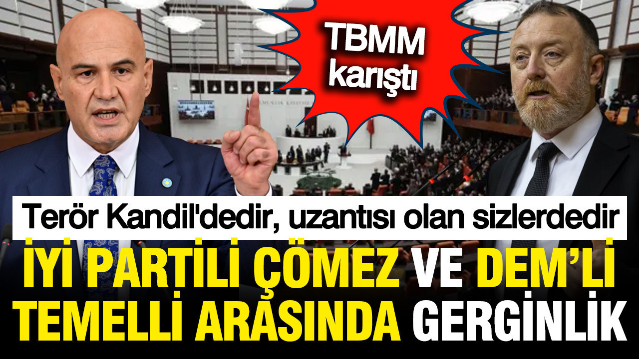İYİ Partili Çömez ve DEM'li Temelli arasında gerginlik: Terör Kandil'dedir, uzantısı olan sizdedir