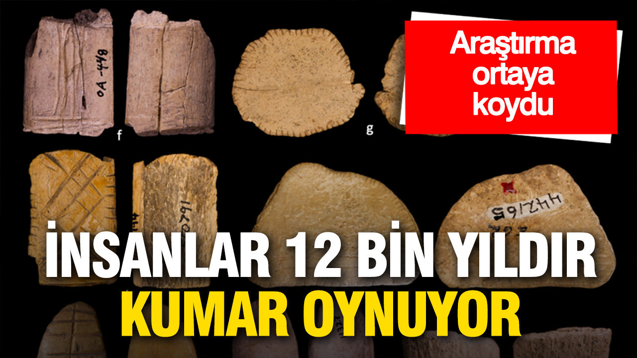 Araştırma ortaya koydu: İnsanlar 12 bin yıldır kumar oynuyor