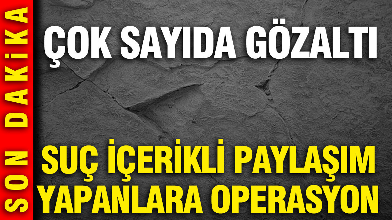 Suç içerikli paylaşım yapanlara operasyon: Çok sayıda gözaltı