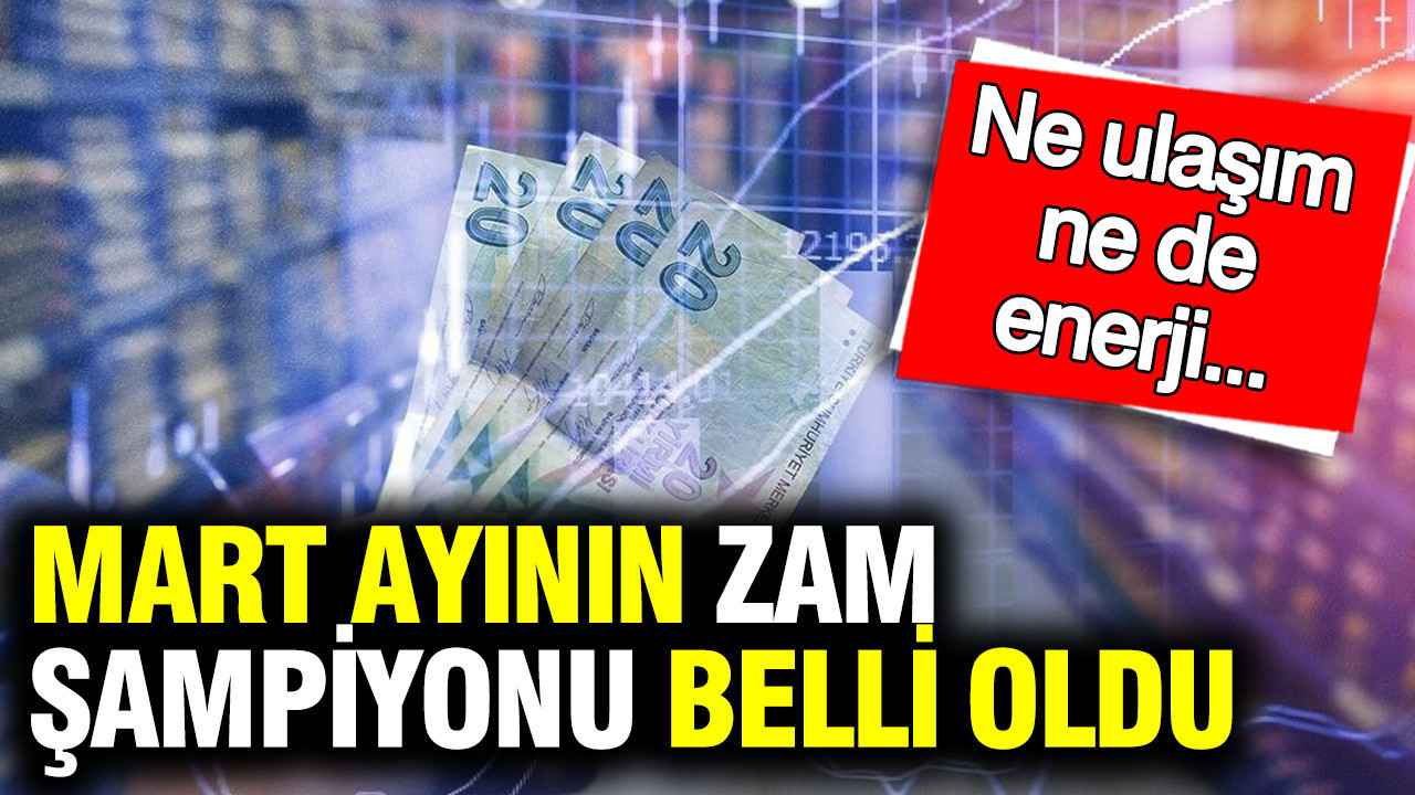 TÜİK açıkladı: Mart ayının zam şampiyonu belli oldu: İşte kalem kalem fiyatlar