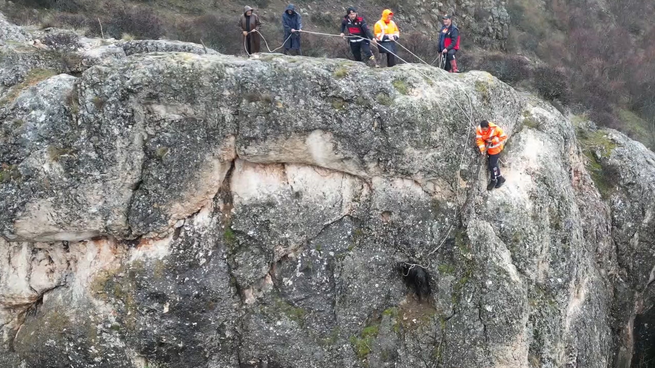 Uçurumun kenarında yaşam mücadelesi: Sivas’ta mutlu son