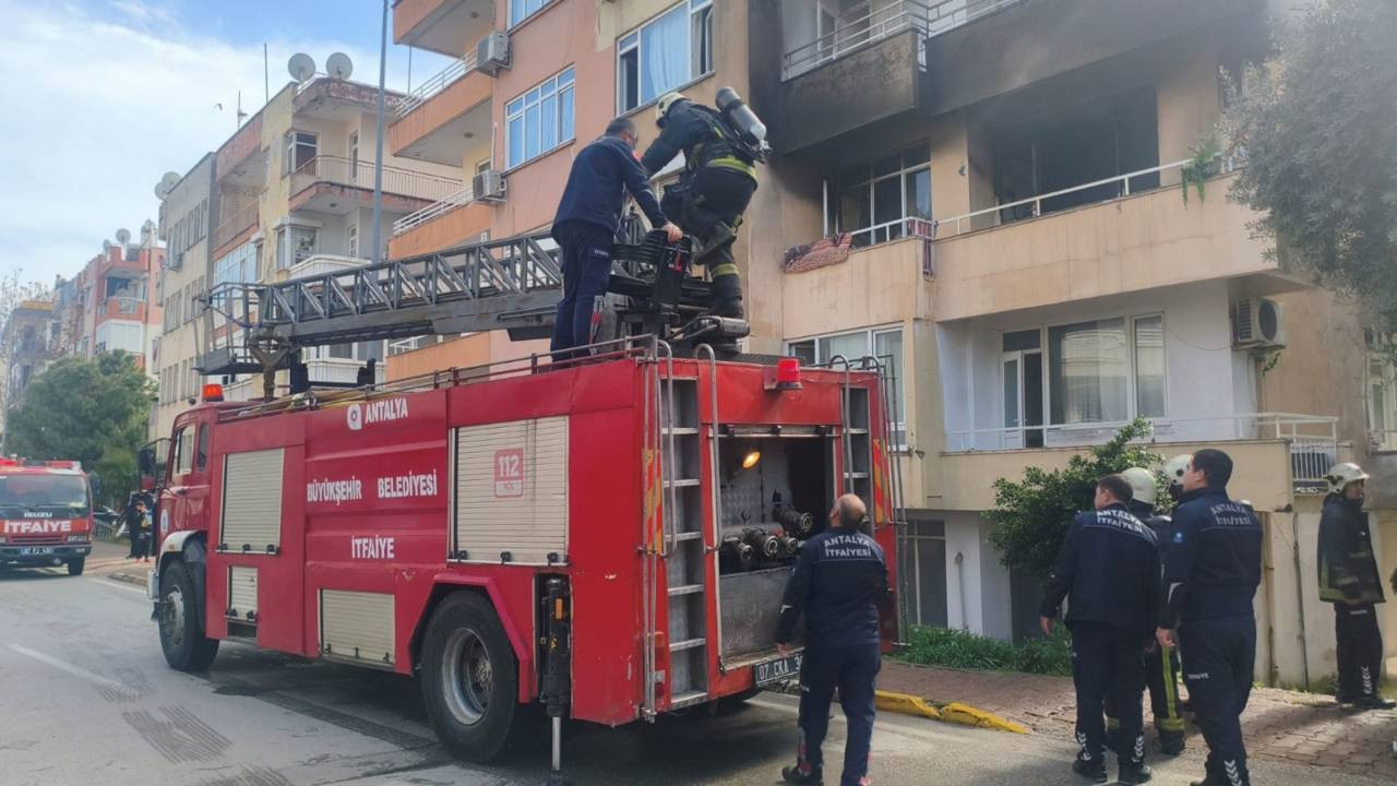 Dumandan etkilenen kedi kalp masajıyla kurtarıldı