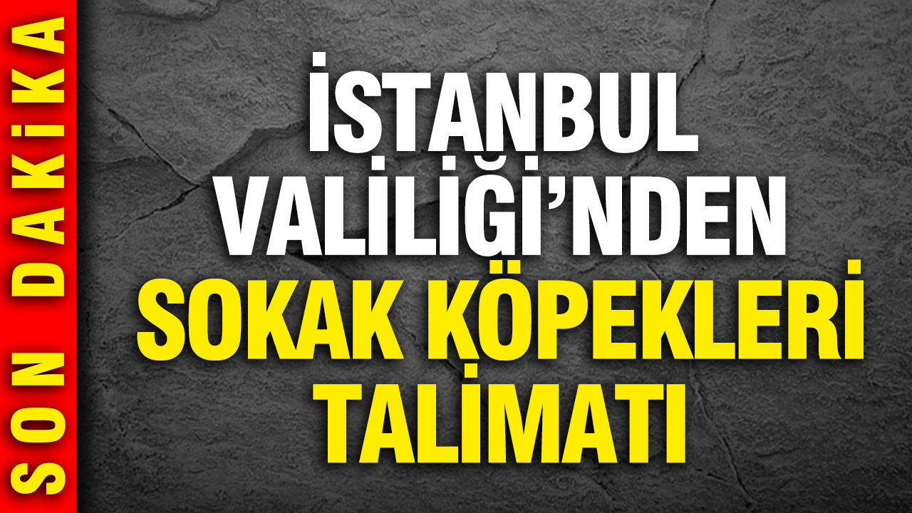 İstanbul Valiliği'nden 'sokak köpeklerini toplatın' talimatı