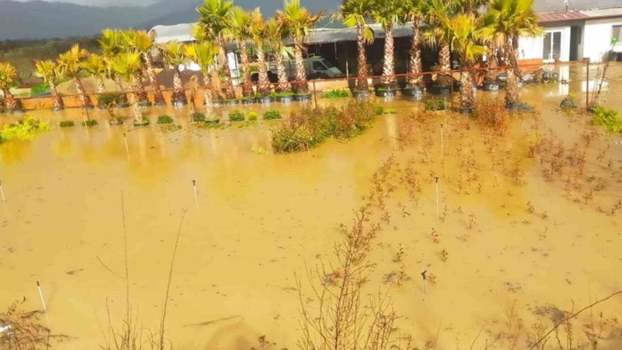 İzmir'de sağanak yağış tarım arazilerini su altında bıraktı