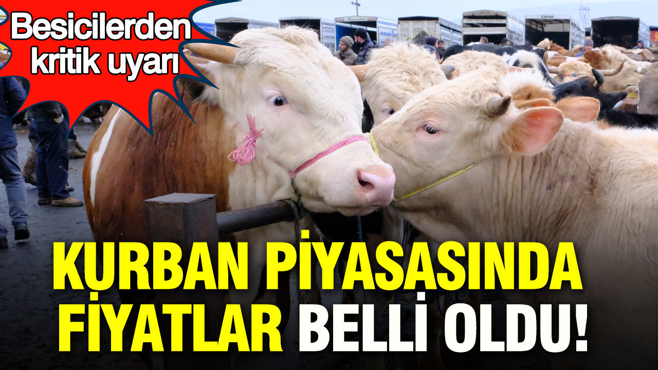 Kurban piyasasında fiyatlar belli oldu: Besicilerden kritik uyarı