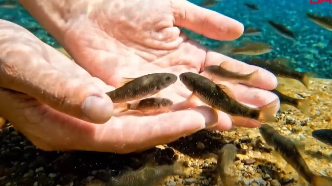 Sedef hastalarının umudu: Balıklı Göl geri sayım başladı