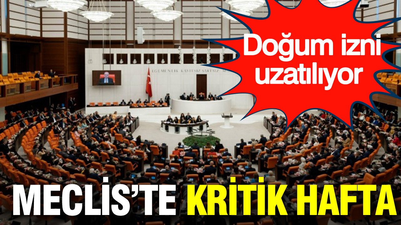 Aileleri ilgilendiren yasalar Meclis'te: Doğum izni ne kadar olacak?