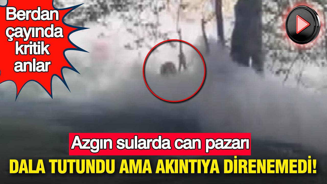 Dala tutundu ama akıntıya direnemedi: Berdan çayında kritik anlar