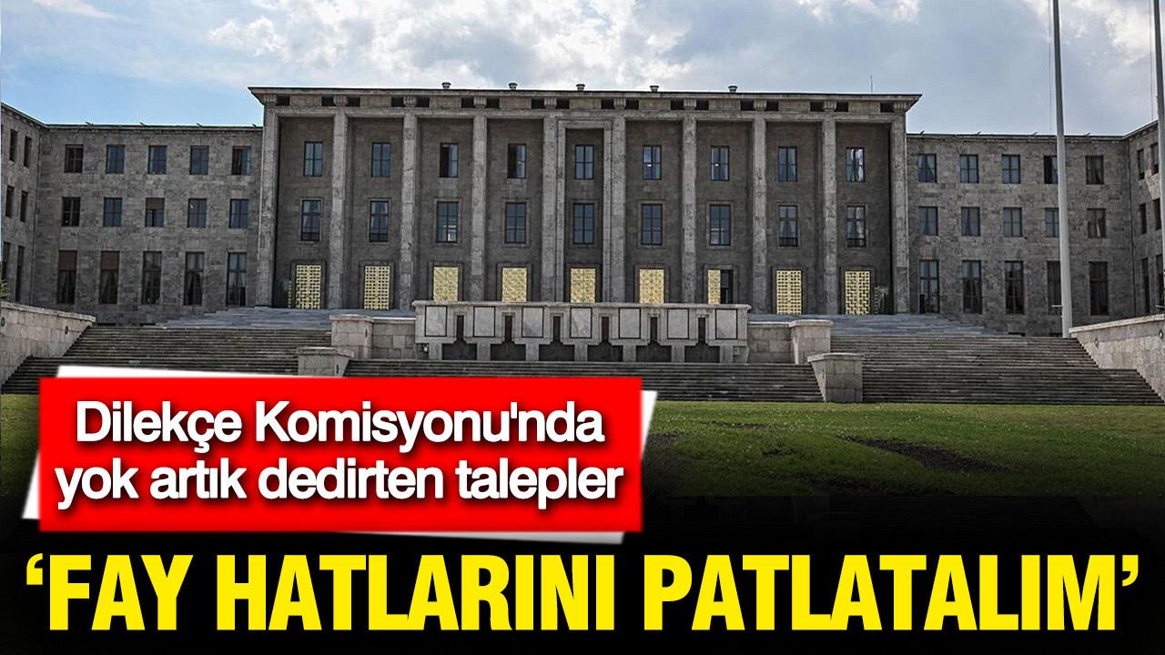 Dilekçe Komisyonu'nda yok artık dedirten talepler