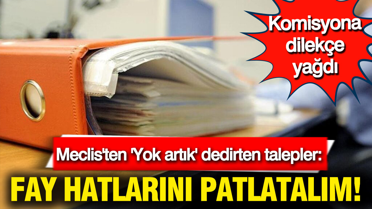 Dilekçe Komisyonu'nda yok artık dedirten talepler