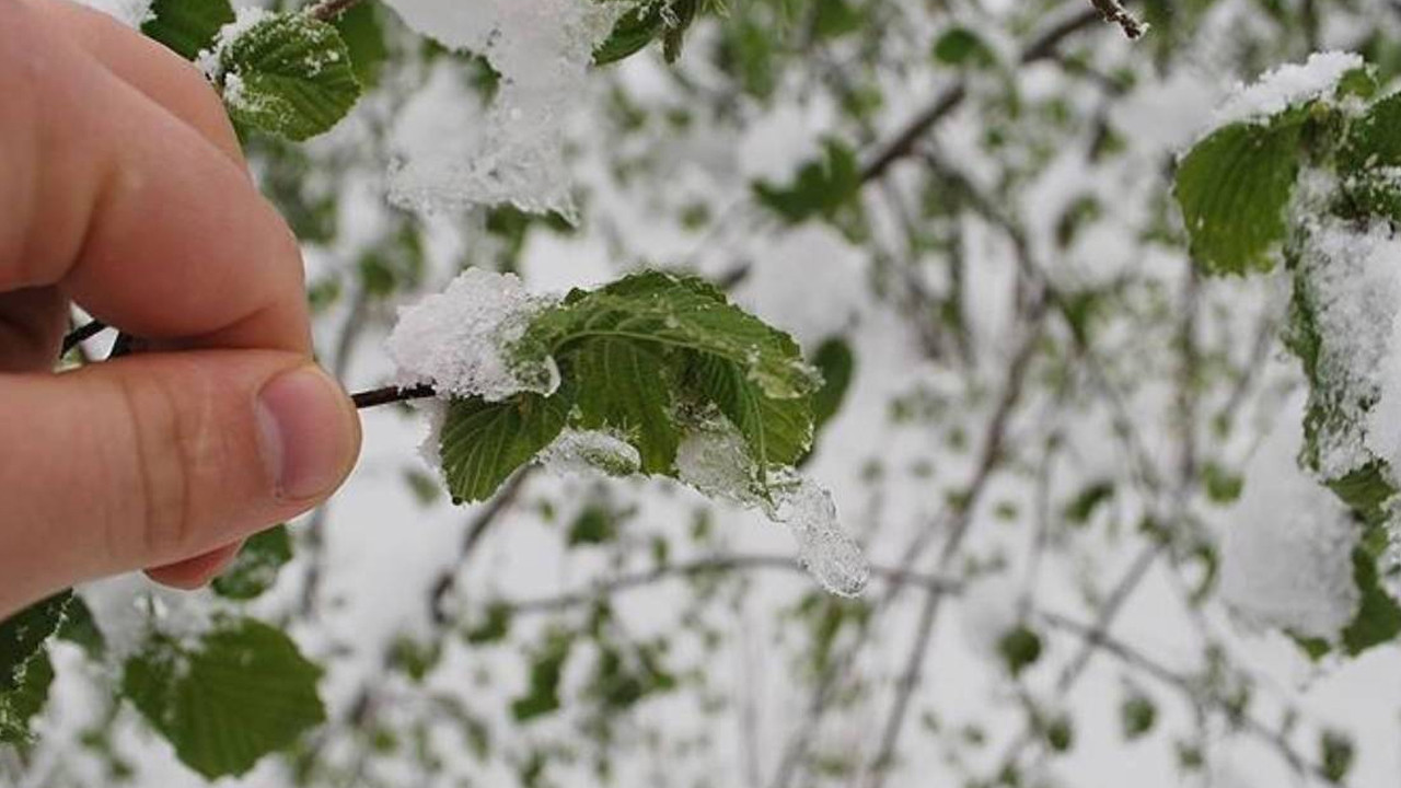 Ankara Valiliği’nden çiftçilere uyarı