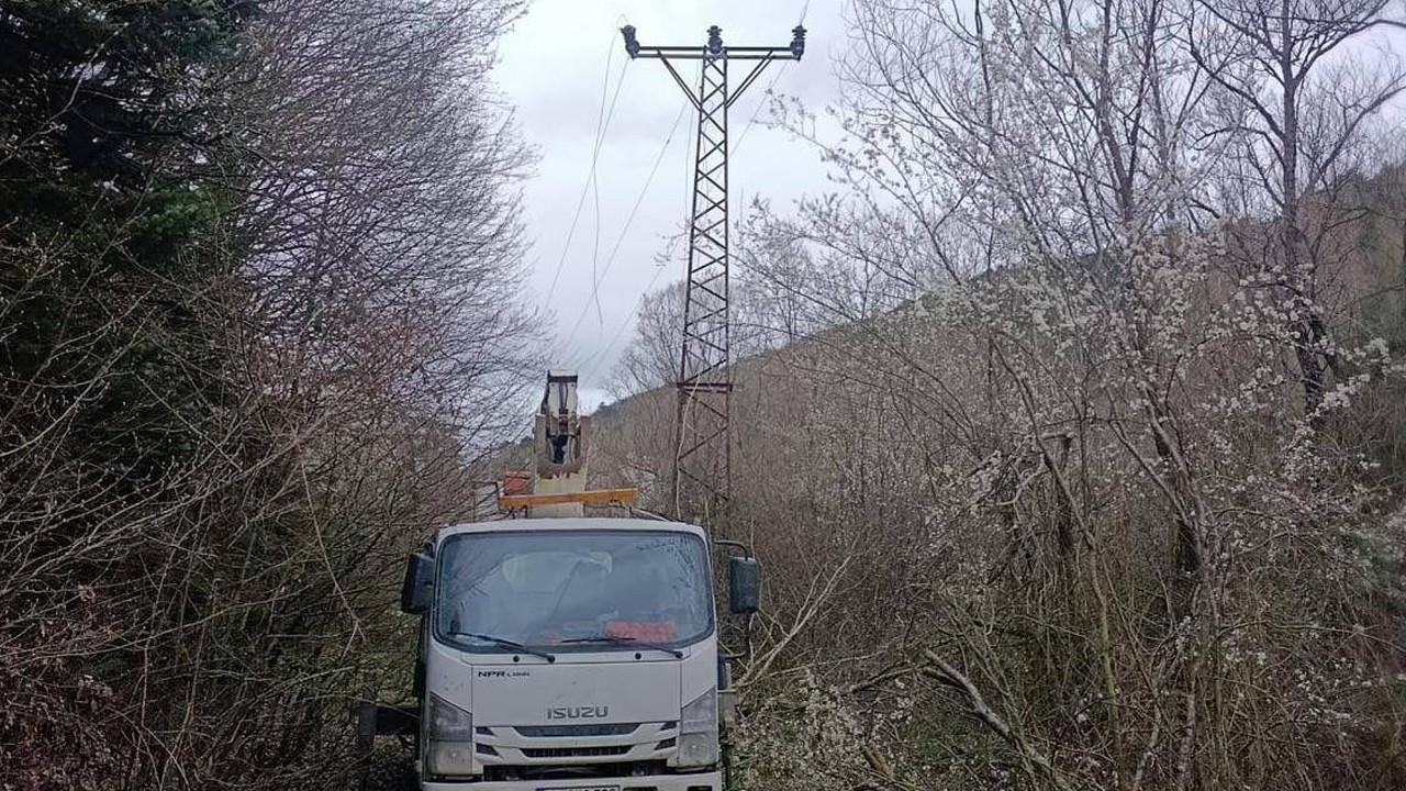 Bilecik’te onarım için çıktığı elektrik direğinde …