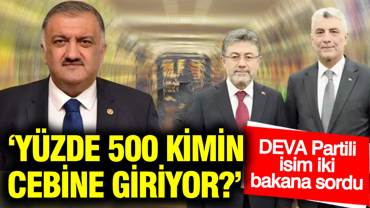 DEVA Partisi'nden iki bakana fahiş fiyat sorusu: Yüzde 500 kimin cebine giriyor
