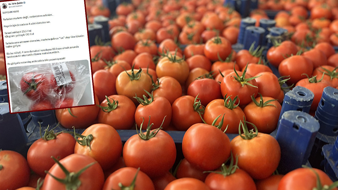 Domates fiyatları isyan ettirdi: Kilosu 120 lira
