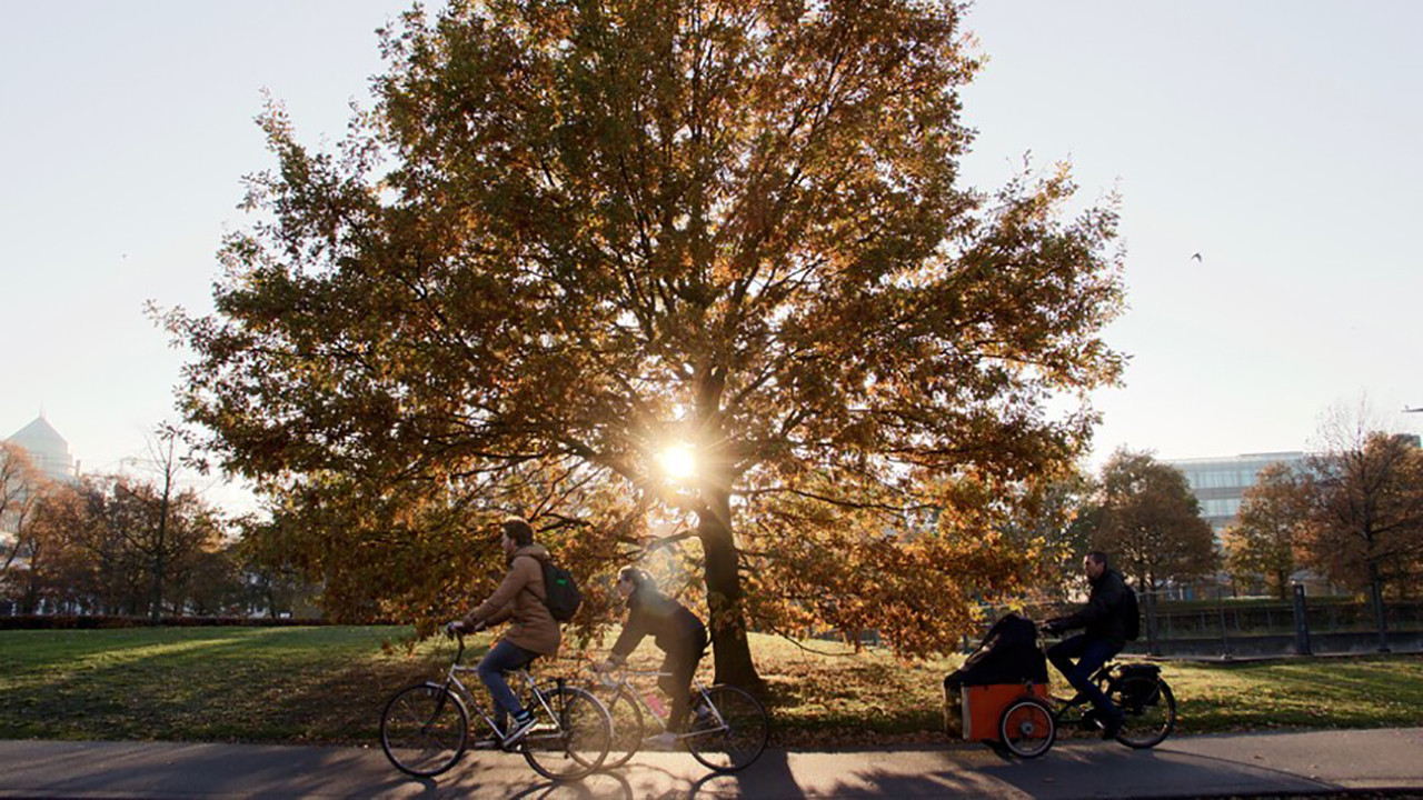 DSÖ’den Dünya Sağlık Günü’ne bilim odaklı tema
