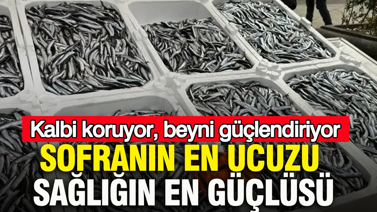Kalbi koruyor, beyni güçlendiriyor: Sofranın en ucuzu, sağlığın en güçlüsü