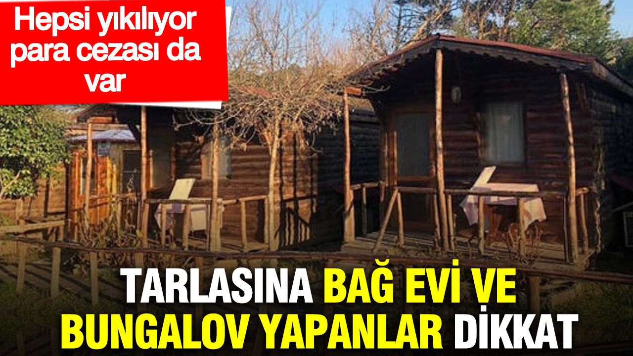 Tarlasına bağ evi ve bungalov yapanlar dikkat: Hepsi yıkılıyor, para cezası da var