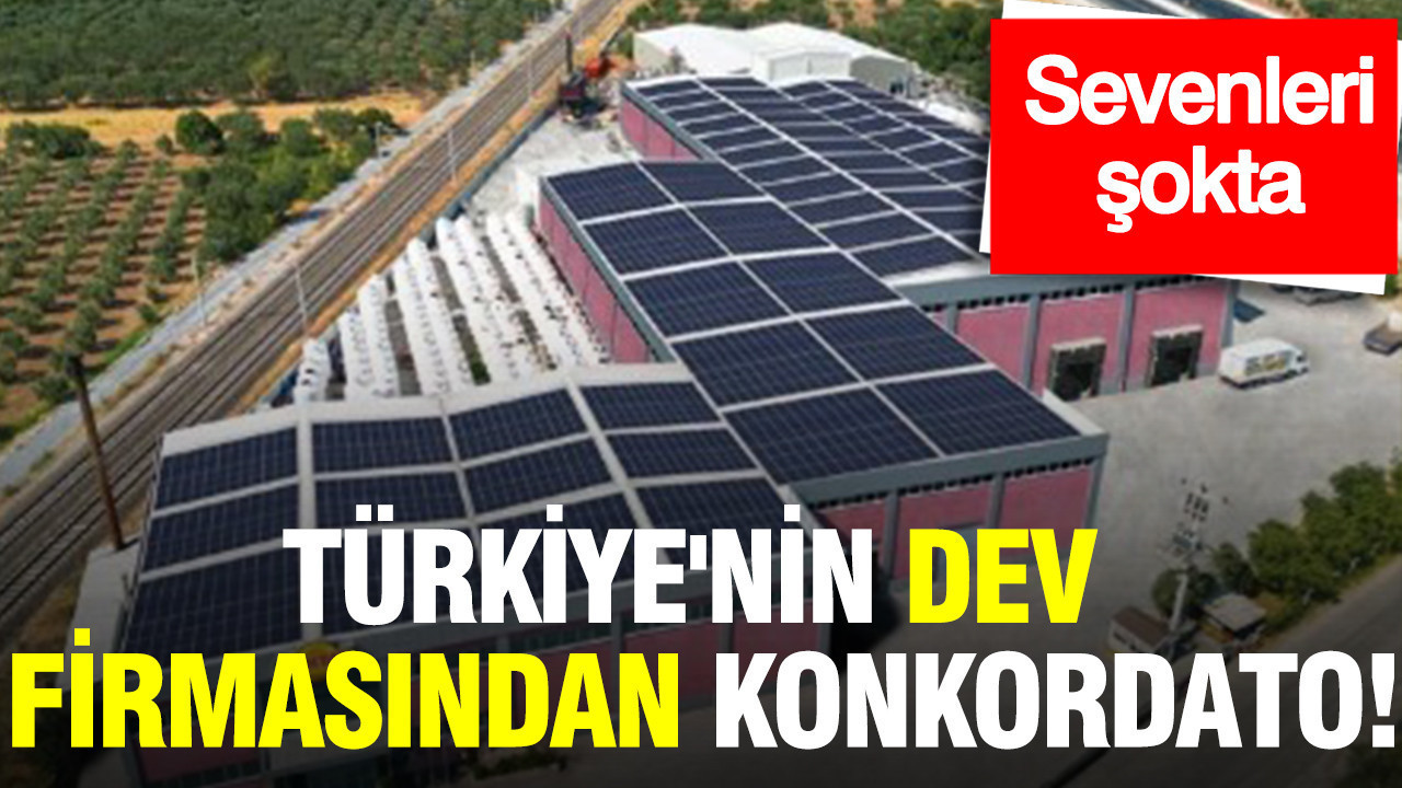 Türkiye'nin zeytin devinden konkordato: Sevenleri şokta