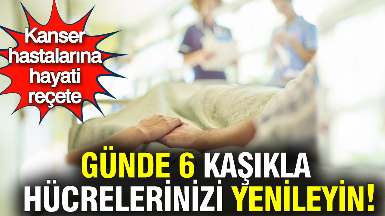 Kanser hastaları için ekonomik ve güçlü destek: 6 kaşık lor peyniri