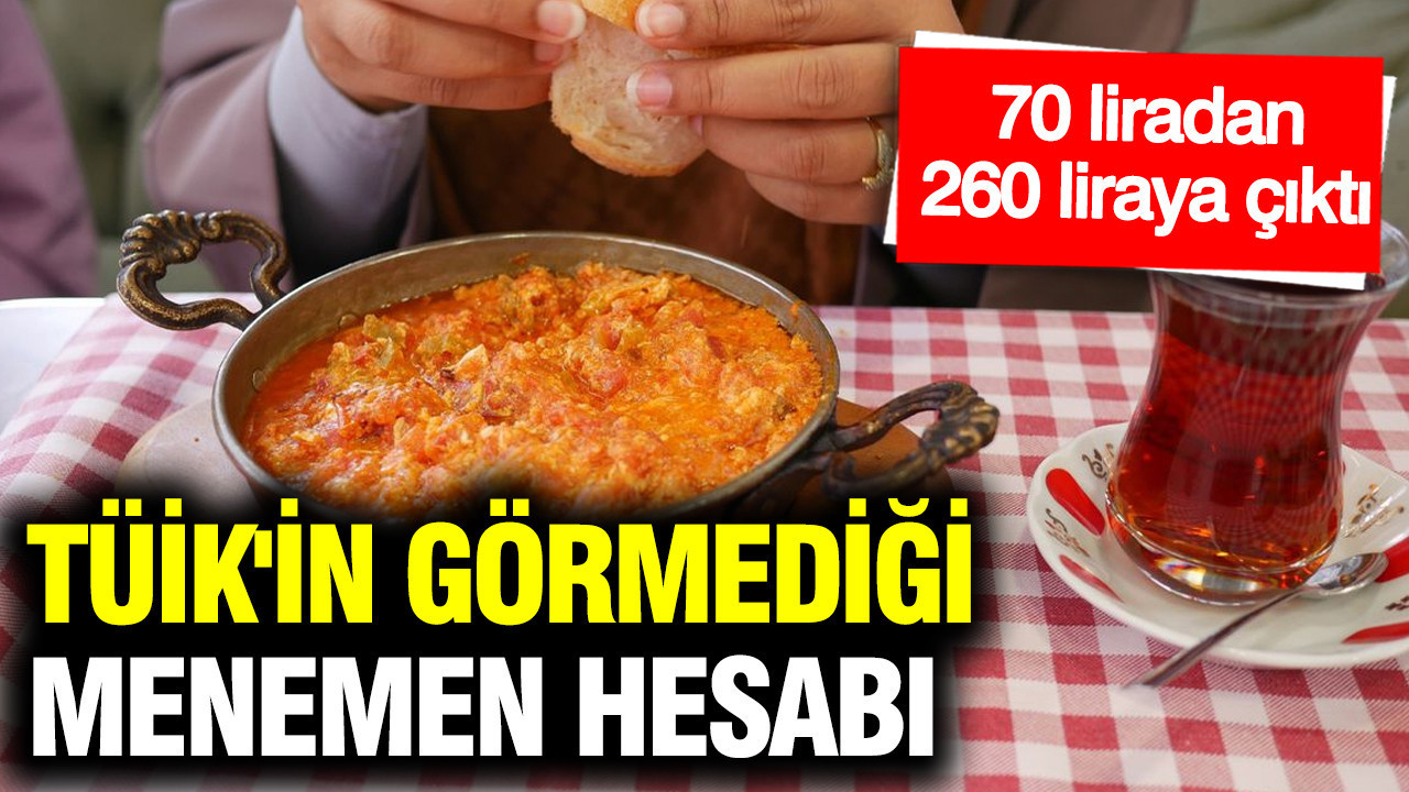 TÜİK'in görmediği menemen hesabı