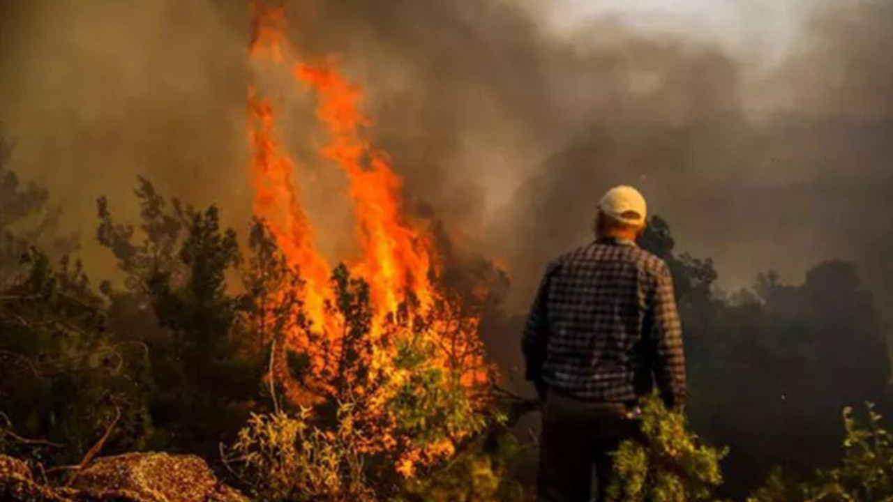 Türkiye'de 2025'te orman yangınlarının yüzde 88'i ihmal ve dikkatsizlik sonucu çıktı