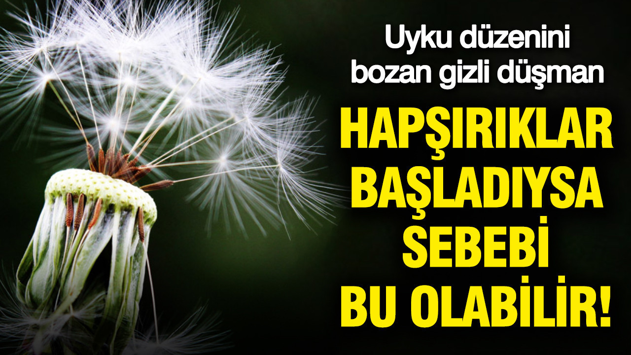 Uyku düzenini bozan gizli düşman: Hapşırıklar başladıysa sebebi bu olabilir