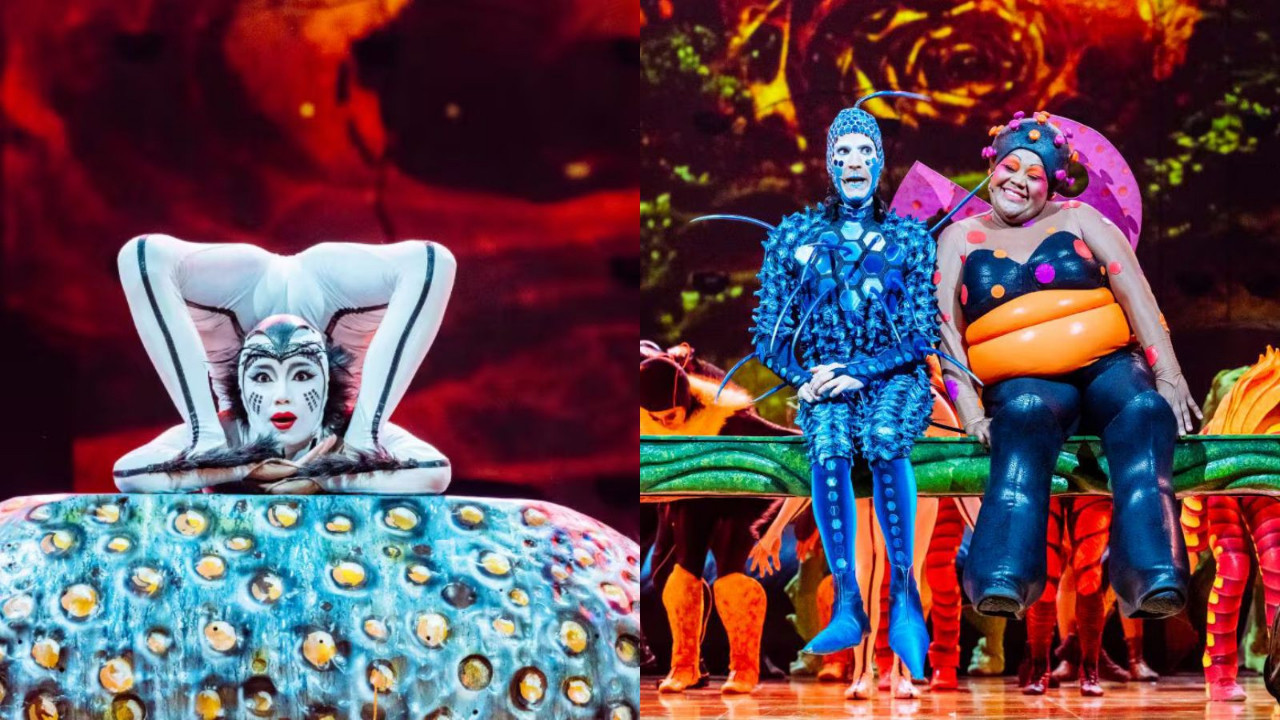 Akrobasinin devleri İstanbul’da: Cirque du Soleil ‘OVO’ ile dönüyor