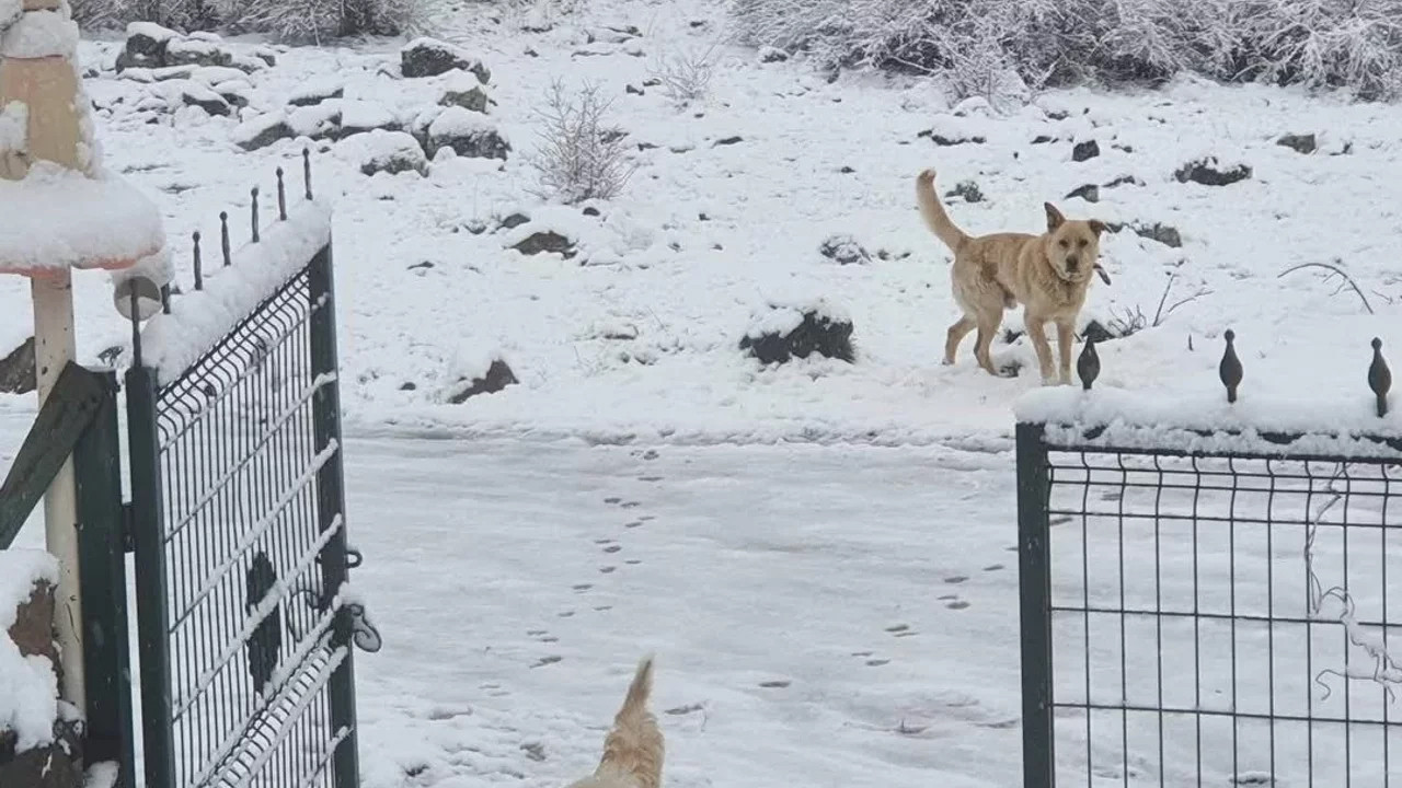 Ankara’ya kar yağdı