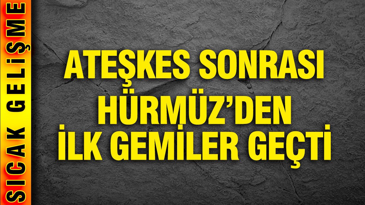 Ateşkes sonrası Hürmüz Boğazı’ndan ilk gemiler geçti