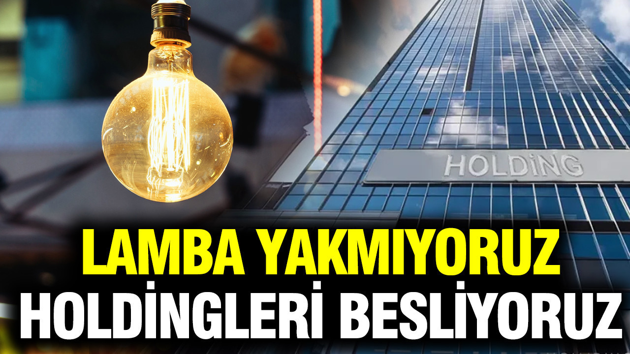 Lamba yakmıyoruz, holdingleri besliyoruz