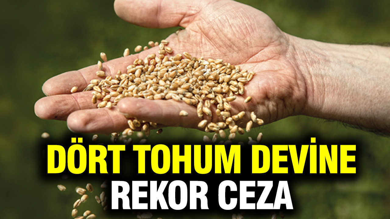 Rekabet Kurulu'ndan dört tohum devine rekor ceza