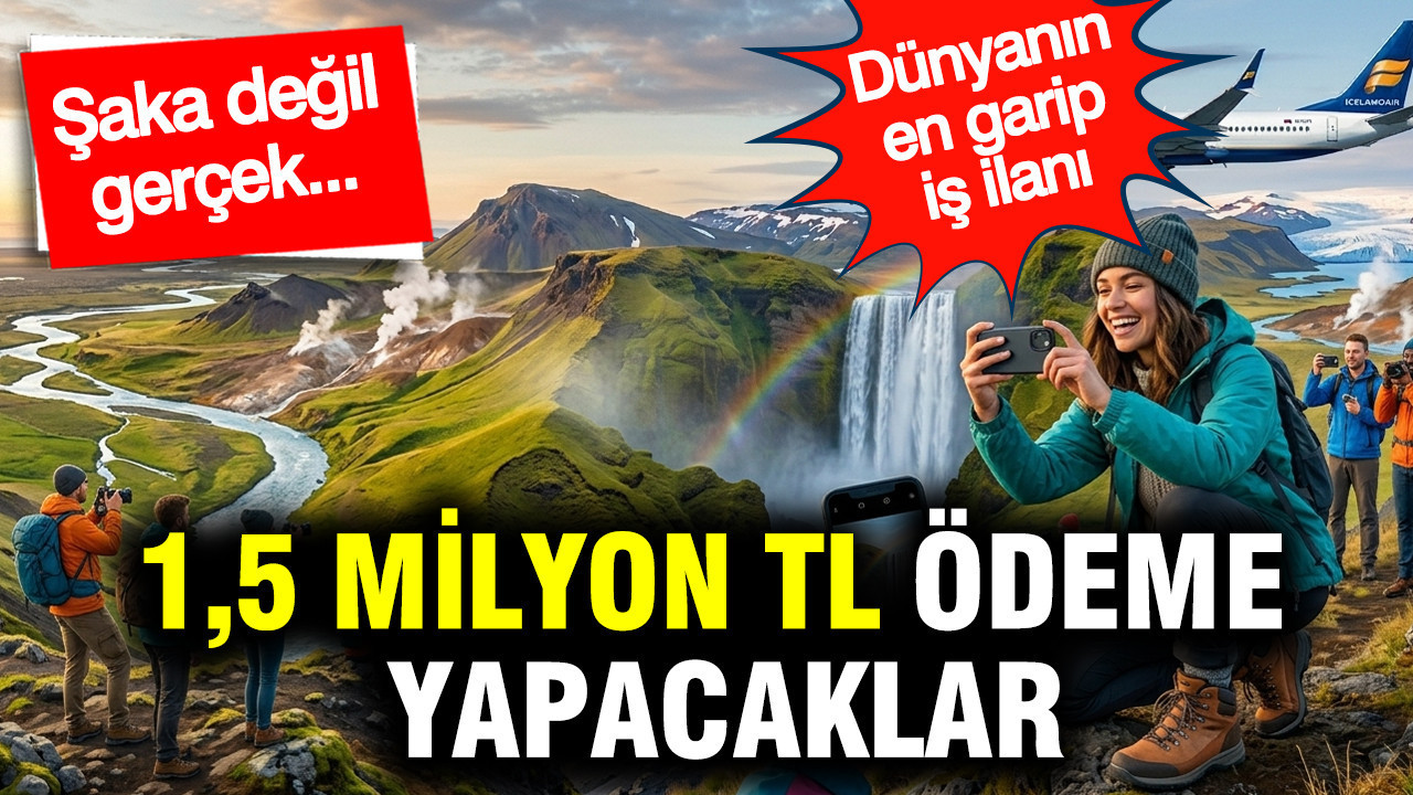 1,5 milyon TL ödeme yapacaklar: Şaka değil gerçek... Dünyanın en garip iş ilanı