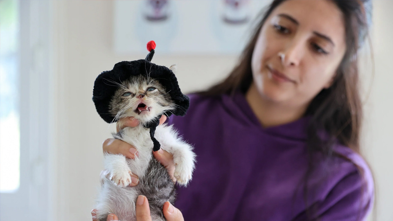 Buca’da azmin zaferi: Boynu kırık yavru kedi Zero, personelin ev bakımıyla yeniden doğdu