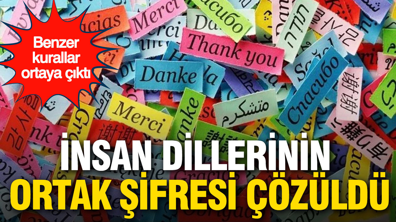 İnsan dillerinin ortak şifresi çözüldü: Benzer kurallar ortaya çıktı