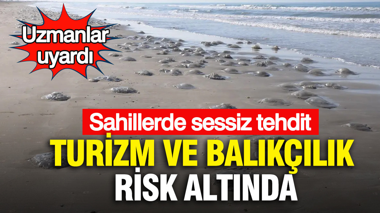 Sahillerde sessiz tehdit: Turizm ve balıkçılık risk altında...Uzmanlar uyardı