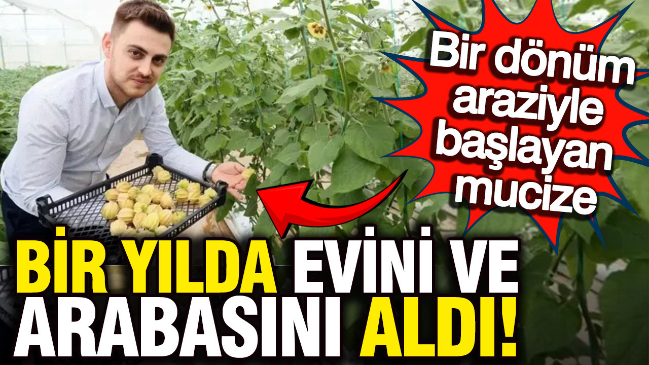 Şehirden köyüne dönüp altın çilek ekti, bir yılda evini ve arabasını aldı