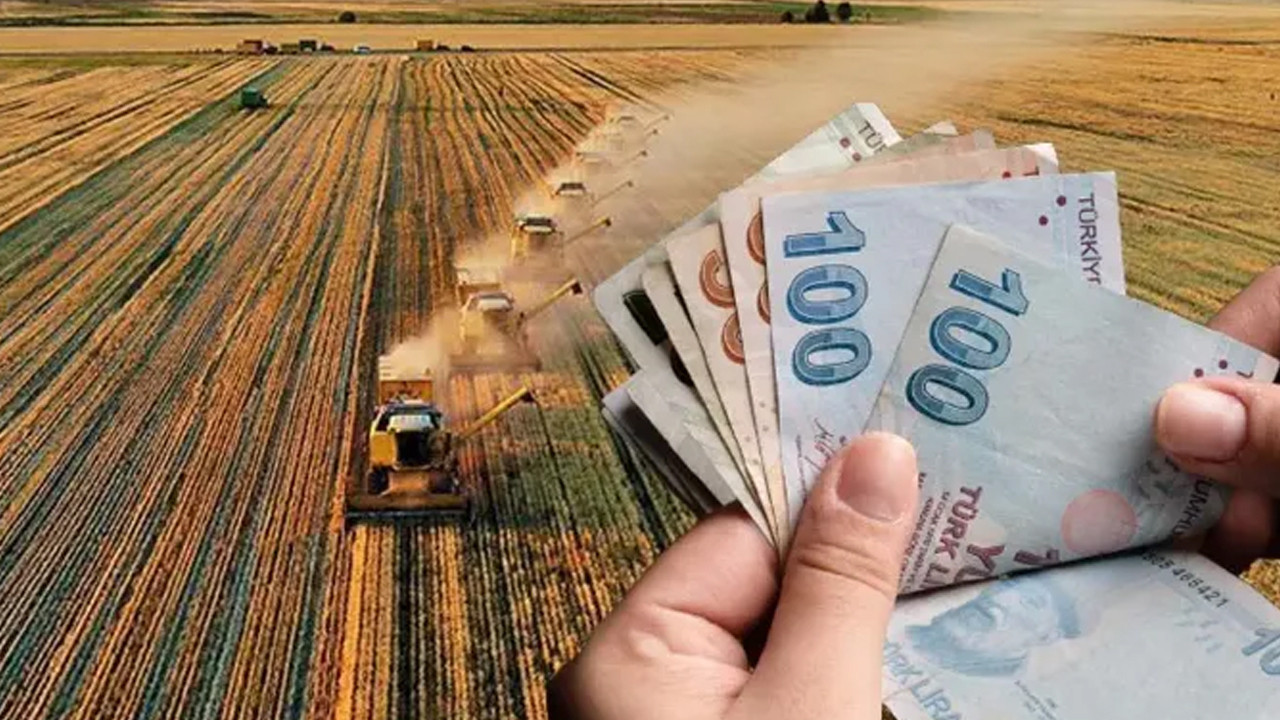 Çiftçilere destek ödemeleri bugün hesaplara yatırılıyor