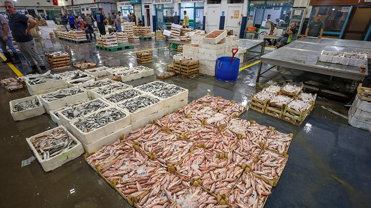 Ege’de balıkçılar sezonu bereketle kapatıyor