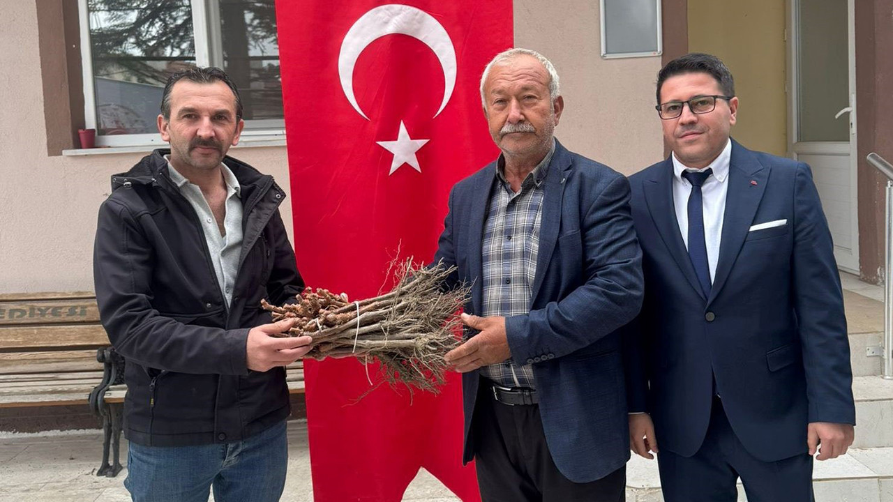 Emet’te vatandaşlara 980 adet üzüm fidanı dağıtıldı