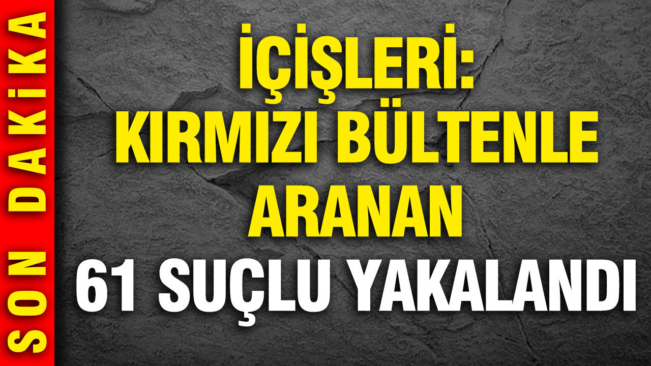 İçişleri Bakanlığı: Kırmızı bültenle aranan 61 suçlu yakalandı