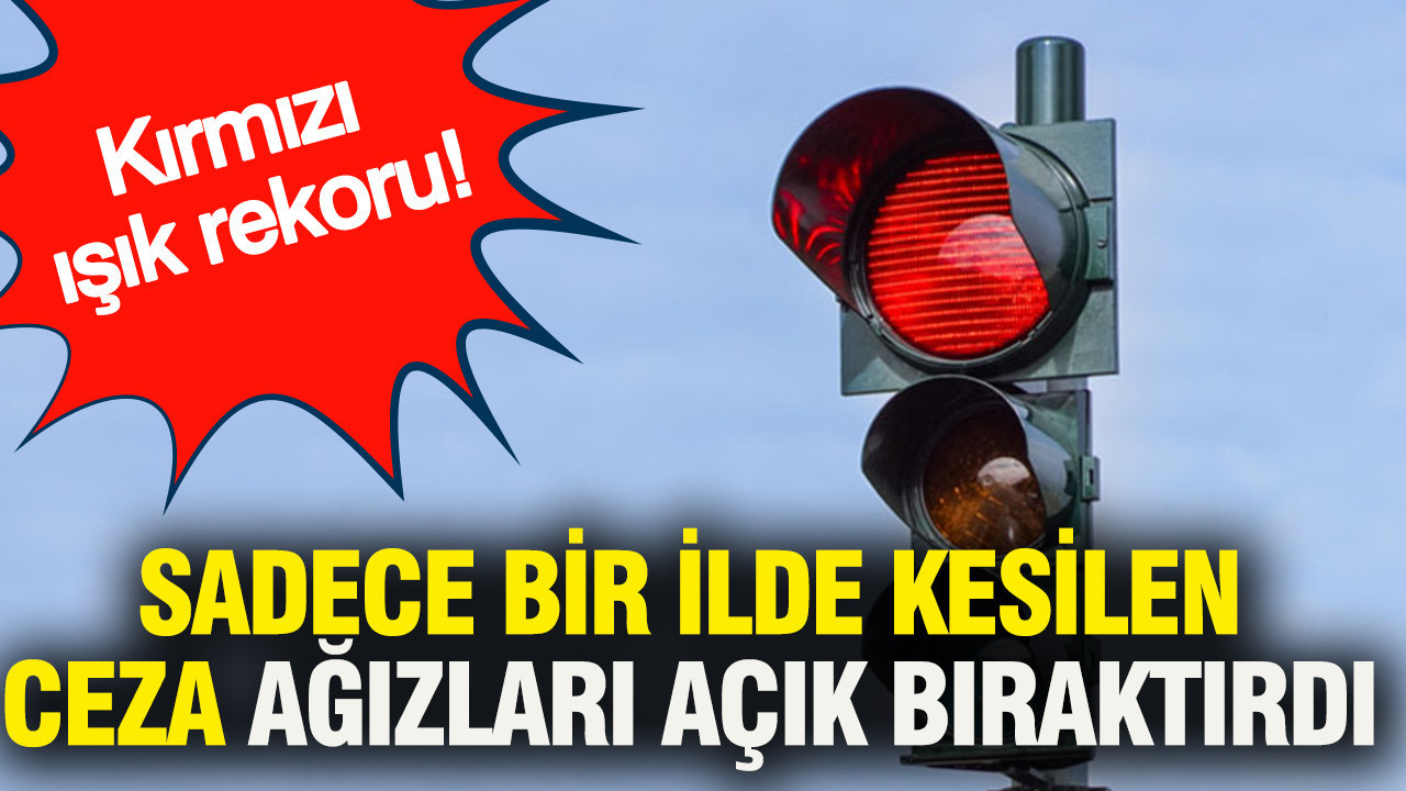 Kırmızı ışık rekoru: Sadece bir ilde kesilen ceza ağızları açık bıraktırdı
